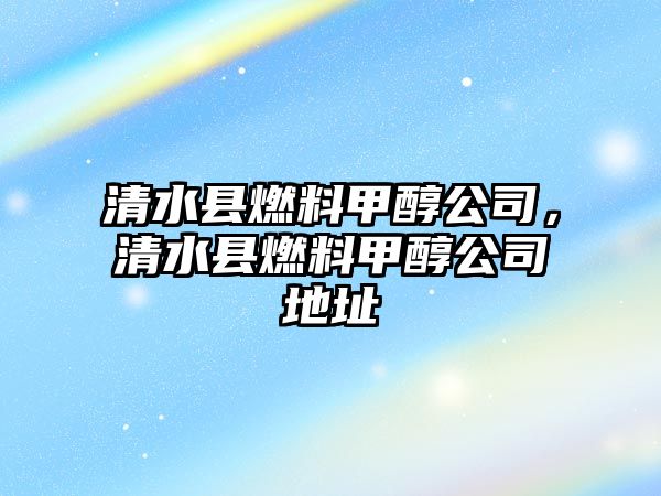 清水縣燃料甲醇公司，清水縣燃料甲醇公司地址