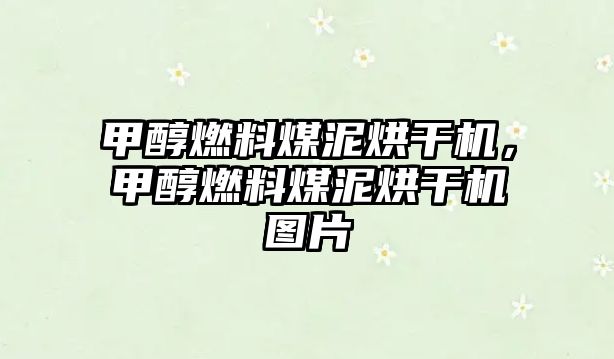 甲醇燃料煤泥烘干機，甲醇燃料煤泥烘干機圖片