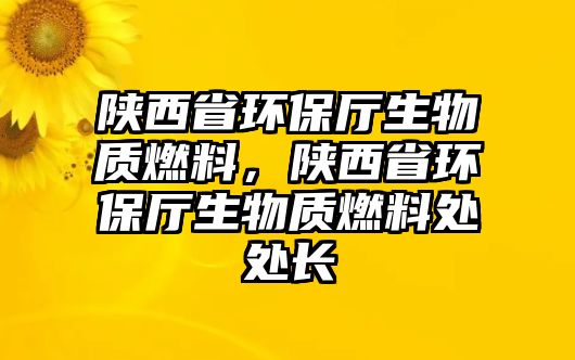 陜西省環(huán)保廳生物質(zhì)燃料，陜西省環(huán)保廳生物質(zhì)燃料處處長