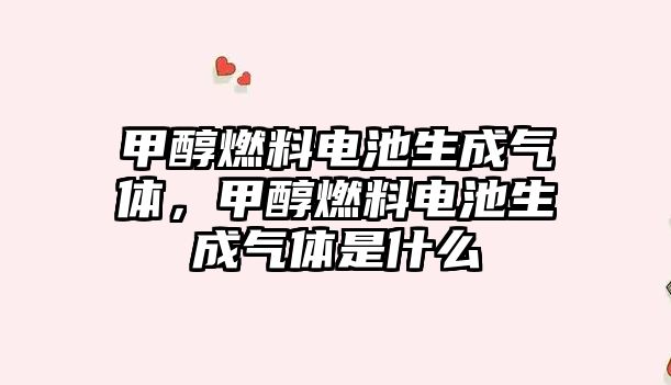 甲醇燃料電池生成氣體，甲醇燃料電池生成氣體是什么