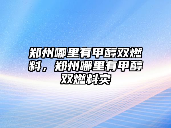 鄭州哪里有甲醇雙燃料，鄭州哪里有甲醇雙燃料賣