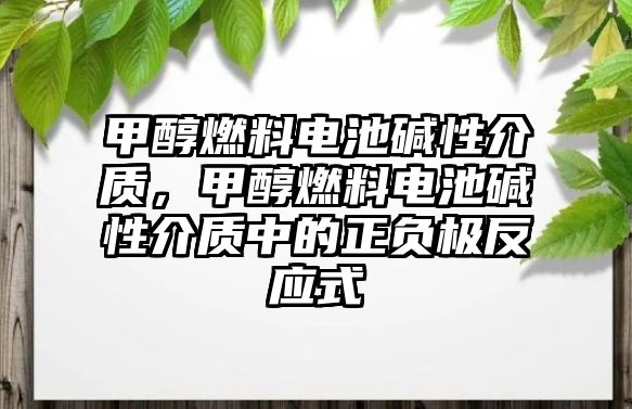 甲醇燃料電池堿性介質(zhì)，甲醇燃料電池堿性介質(zhì)中的正負極反應式