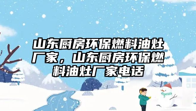 山東廚房環(huán)保燃料油灶廠家，山東廚房環(huán)保燃料油灶廠家電話