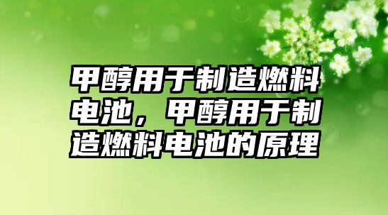 甲醇用于制造燃料電池，甲醇用于制造燃料電池的原理