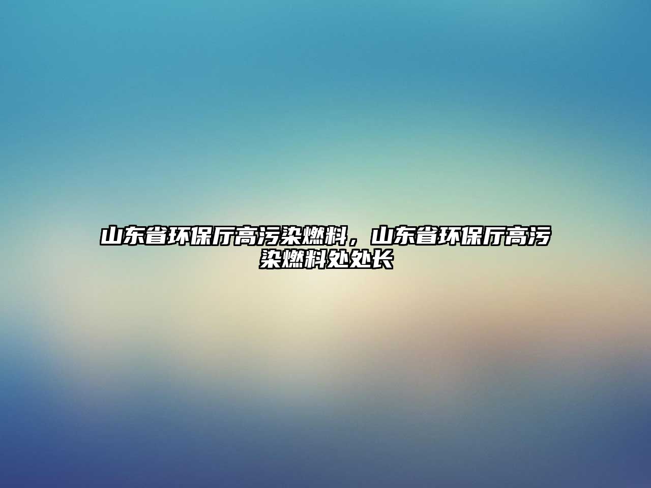 山東省環(huán)保廳高污染燃料，山東省環(huán)保廳高污染燃料處處長