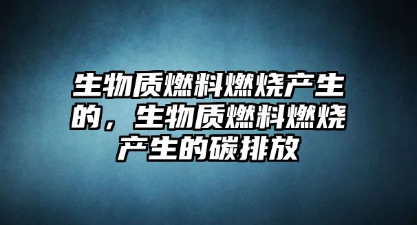 生物質(zhì)燃料燃燒產(chǎn)生的，生物質(zhì)燃料燃燒產(chǎn)生的碳排放