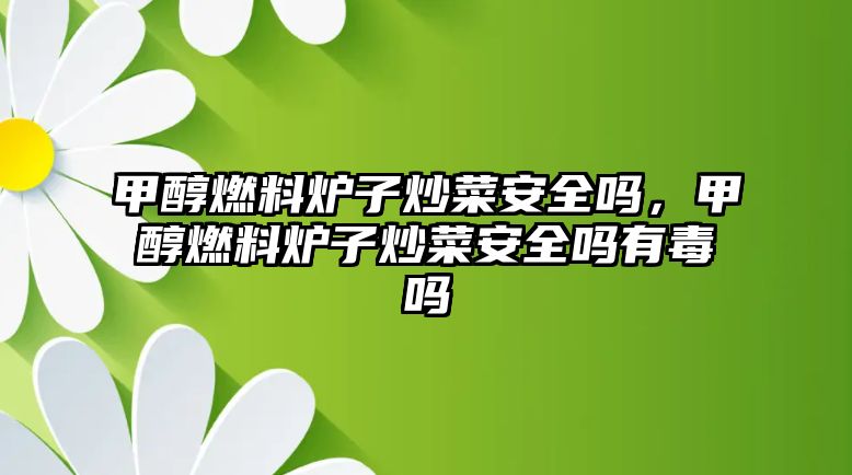 甲醇燃料爐子炒菜安全嗎，甲醇燃料爐子炒菜安全嗎有毒嗎