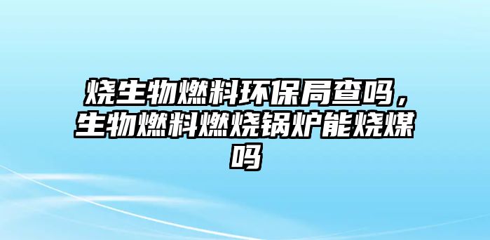 燒生物燃料環(huán)保局查嗎，生物燃料燃燒鍋爐能燒煤嗎