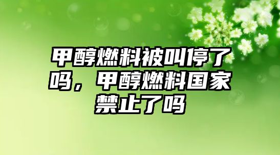 甲醇燃料被叫停了嗎，甲醇燃料國家禁止了嗎