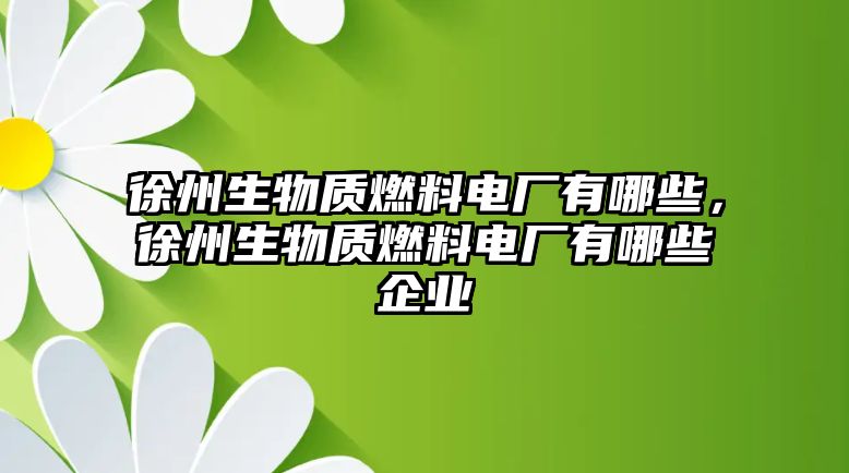 徐州生物質(zhì)燃料電廠有哪些，徐州生物質(zhì)燃料電廠有哪些企業(yè)