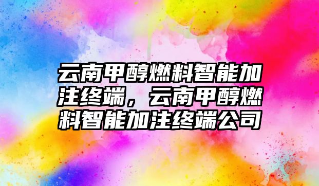 云南甲醇燃料智能加注終端，云南甲醇燃料智能加注終端公司