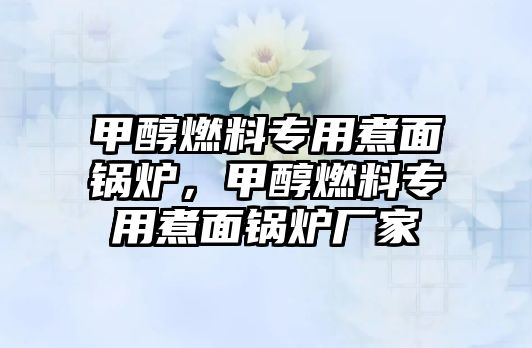 甲醇燃料專用煮面鍋爐，甲醇燃料專用煮面鍋爐廠家