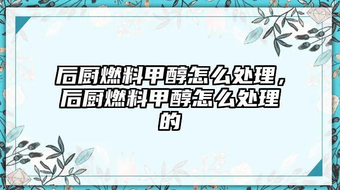 后廚燃料甲醇怎么處理，后廚燃料甲醇怎么處理的