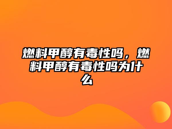 燃料甲醇有毒性嗎，燃料甲醇有毒性嗎為什么