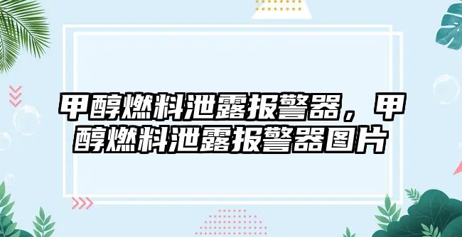 甲醇燃料泄露報(bào)警器，甲醇燃料泄露報(bào)警器圖片