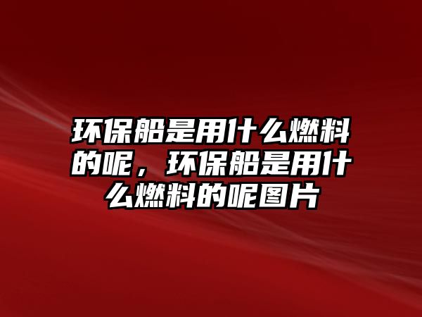 環(huán)保船是用什么燃料的呢，環(huán)保船是用什么燃料的呢圖片