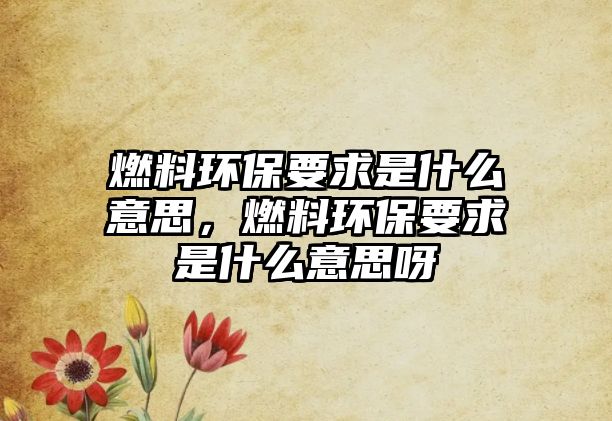 燃料環(huán)保要求是什么意思，燃料環(huán)保要求是什么意思呀