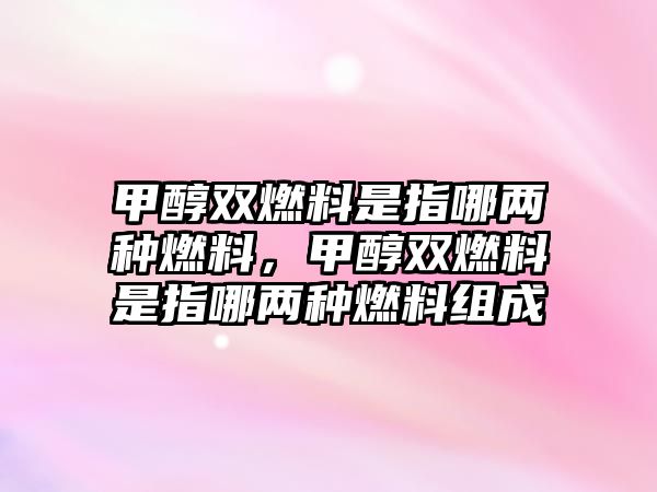 甲醇雙燃料是指哪兩種燃料，甲醇雙燃料是指哪兩種燃料組成