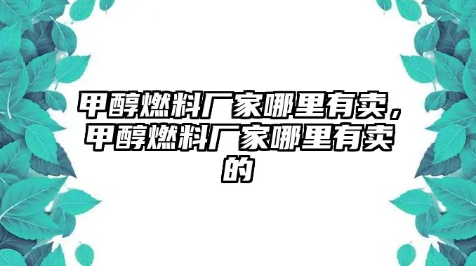 甲醇燃料廠家哪里有賣，甲醇燃料廠家哪里有賣的