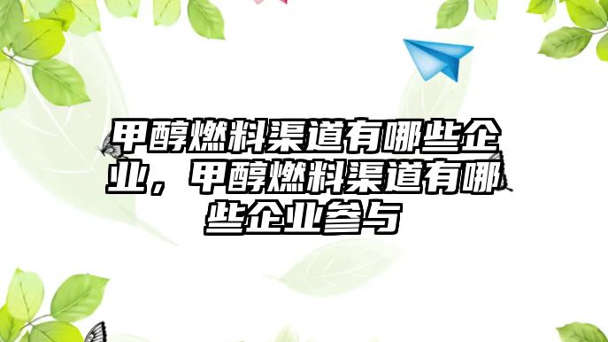 甲醇燃料渠道有哪些企業(yè)，甲醇燃料渠道有哪些企業(yè)參與