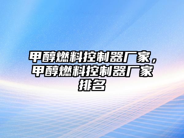 甲醇燃料控制器廠家，甲醇燃料控制器廠家排名