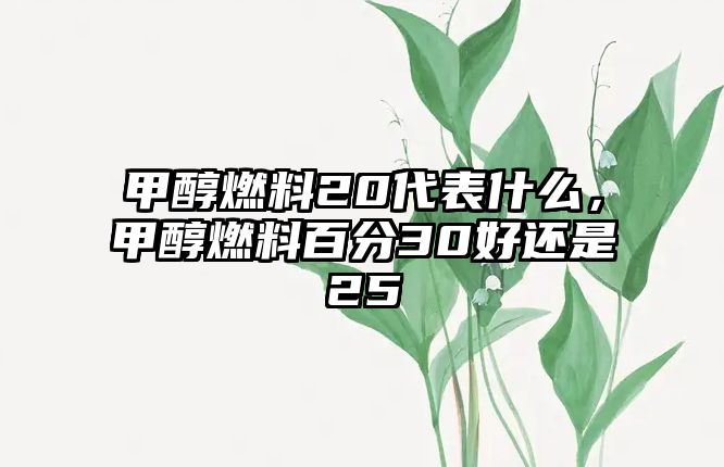 甲醇燃料20代表什么，甲醇燃料百分30好還是25