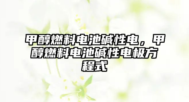 甲醇燃料電池堿性電，甲醇燃料電池堿性電極方程式