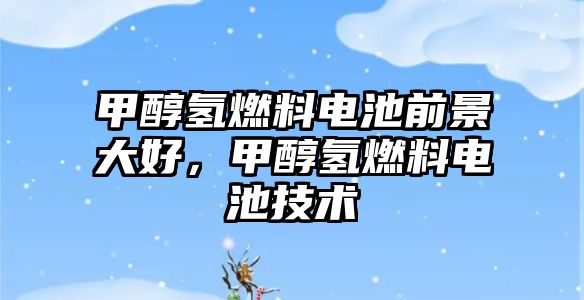 甲醇?xì)淙剂想姵厍熬按蠛?，甲醇?xì)淙剂想姵丶夹g(shù)