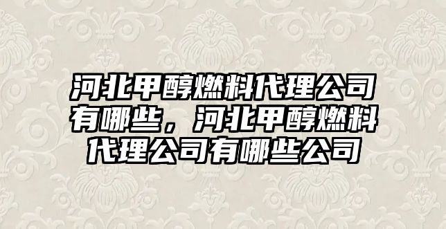 河北甲醇燃料代理公司有哪些，河北甲醇燃料代理公司有哪些公司