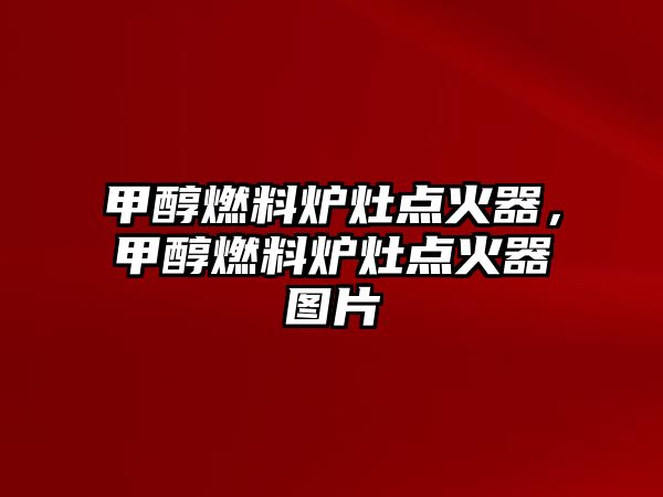 甲醇燃料爐灶點火器，甲醇燃料爐灶點火器圖片