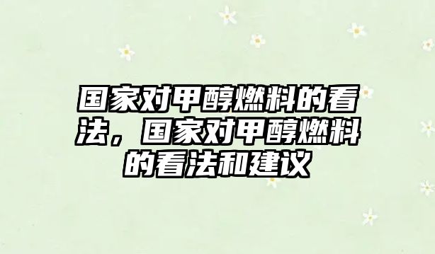 國家對甲醇燃料的看法，國家對甲醇燃料的看法和建議