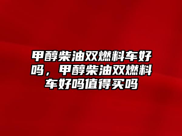 甲醇柴油雙燃料車好嗎，甲醇柴油雙燃料車好嗎值得買嗎