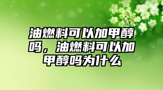 油燃料可以加甲醇嗎，油燃料可以加甲醇嗎為什么