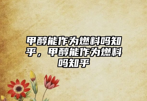 甲醇能作為燃料嗎知乎，甲醇能作為燃料嗎知乎