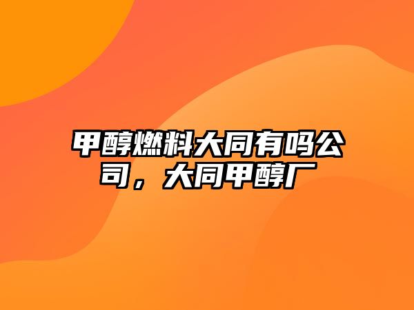 甲醇燃料大同有嗎公司，大同甲醇廠