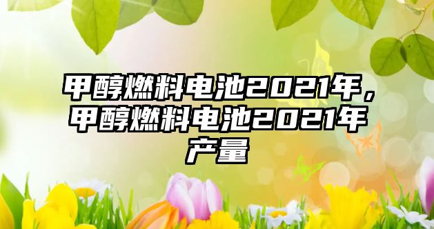 甲醇燃料電池2021年，甲醇燃料電池2021年產(chǎn)量