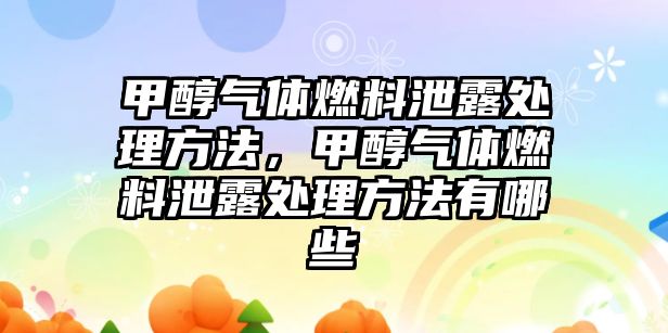 甲醇?xì)怏w燃料泄露處理方法，甲醇?xì)怏w燃料泄露處理方法有哪些