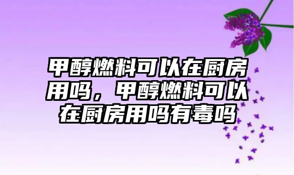 甲醇燃料可以在廚房用嗎，甲醇燃料可以在廚房用嗎有毒嗎