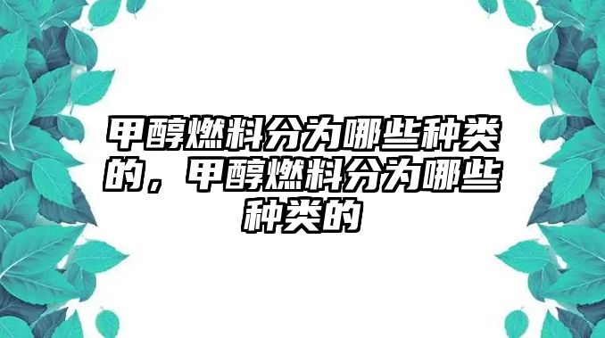 甲醇燃料分為哪些種類的，甲醇燃料分為哪些種類的