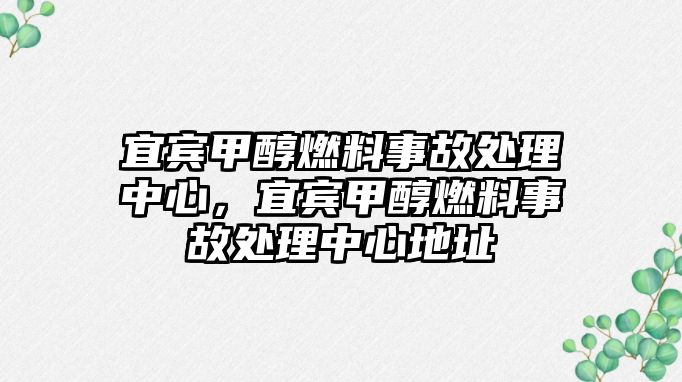 宜賓甲醇燃料事故處理中心，宜賓甲醇燃料事故處理中心地址