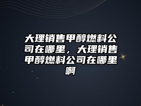 大理銷售甲醇燃料公司在哪里，大理銷售甲醇燃料公司在哪里啊