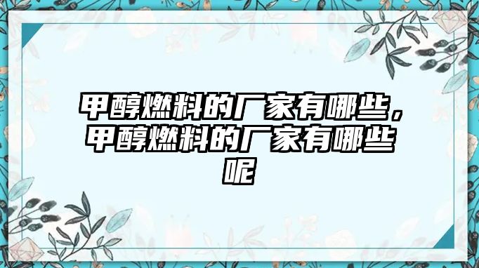 甲醇燃料的廠家有哪些，甲醇燃料的廠家有哪些呢