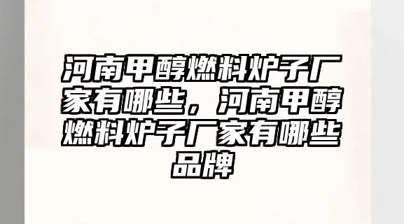 河南甲醇燃料爐子廠家有哪些，河南甲醇燃料爐子廠家有哪些品牌