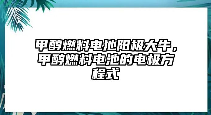 甲醇燃料電池陽極大牛，甲醇燃料電池的電極方程式