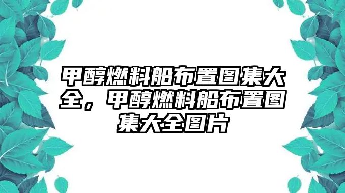 甲醇燃料船布置圖集大全，甲醇燃料船布置圖集大全圖片