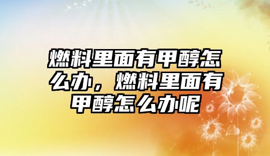 燃料里面有甲醇怎么辦，燃料里面有甲醇怎么辦呢