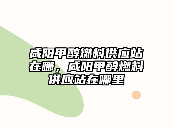 咸陽甲醇燃料供應站在哪，咸陽甲醇燃料供應站在哪里