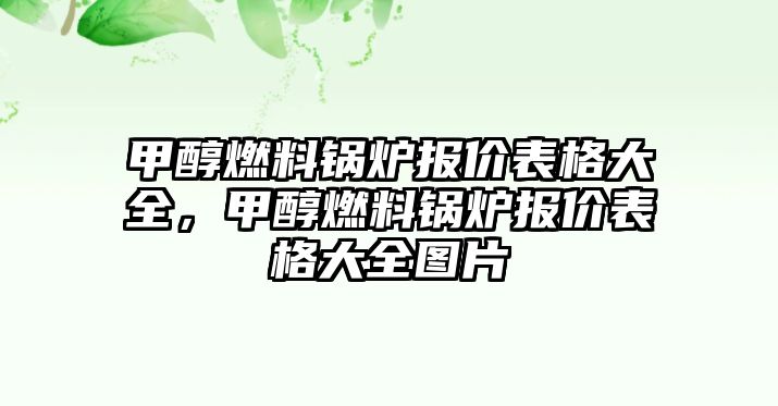 甲醇燃料鍋爐報(bào)價表格大全，甲醇燃料鍋爐報(bào)價表格大全圖片