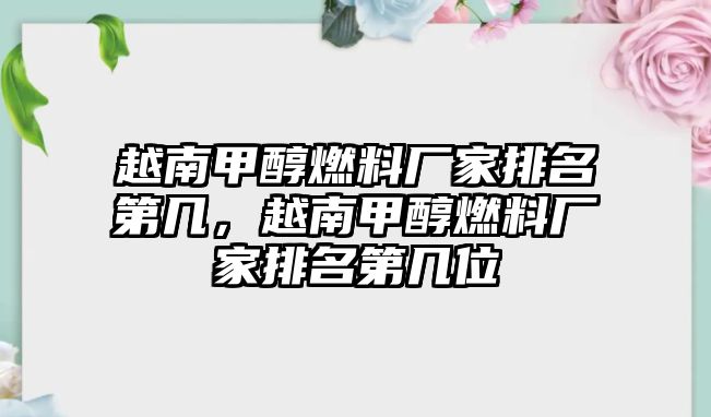 越南甲醇燃料廠家排名第幾，越南甲醇燃料廠家排名第幾位