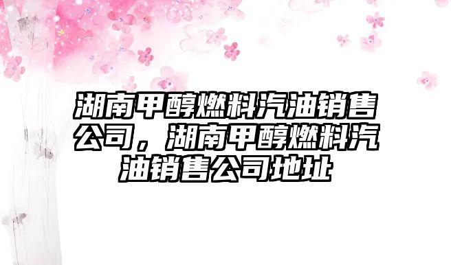 湖南甲醇燃料汽油銷(xiāo)售公司，湖南甲醇燃料汽油銷(xiāo)售公司地址